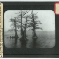 VAUGHN.jeremy-magic-lantern-glass-slides-25.jpg
