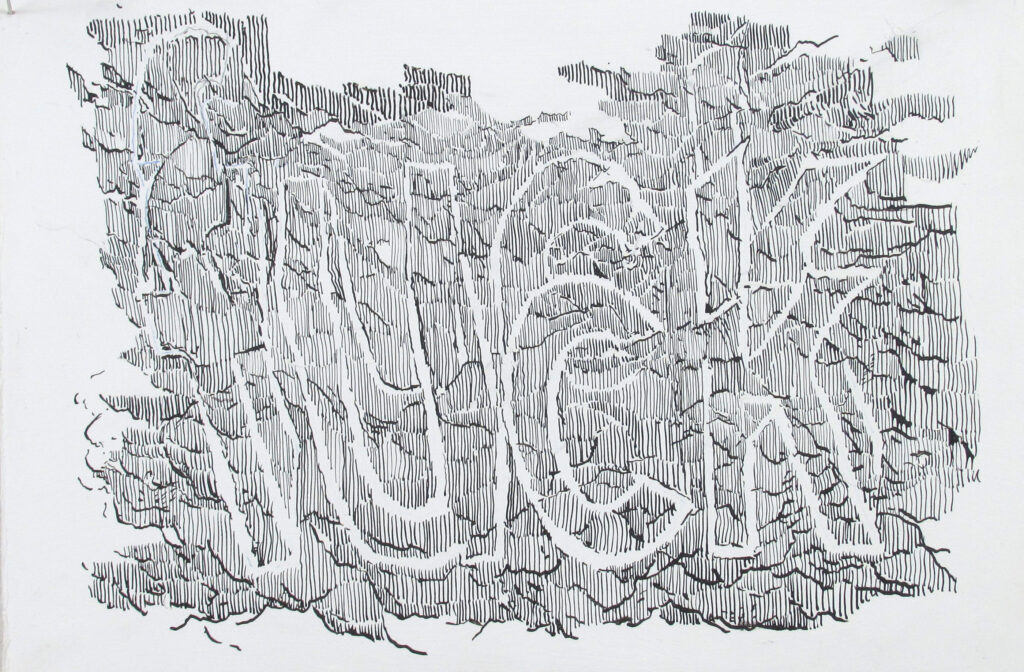 Jeremy Vaughn - uck - ink, silverpoint and vinyl on printmaking paper